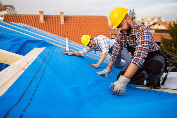 Fast & Reliable Emergency Roof Repairs in Albion, NY